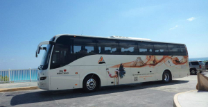 arminas travel