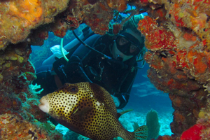 cancunjune300