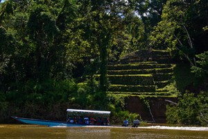 Arminas Travel